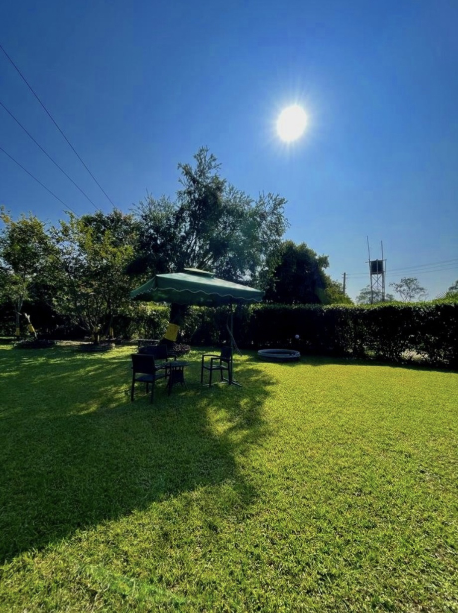 Sunny garden seating area